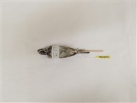 藏品(麻雀)的圖片